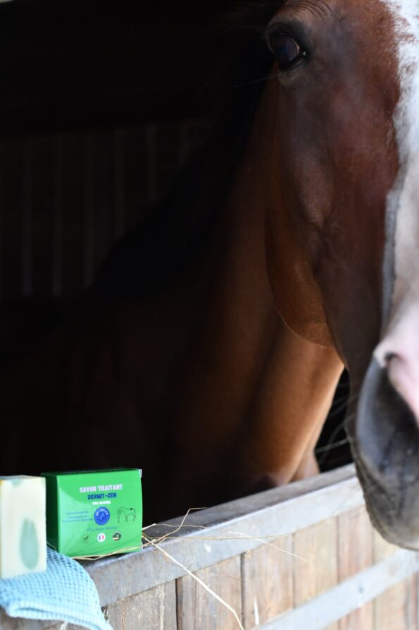 savon traitant cheval