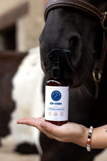 soin crinières ekizen