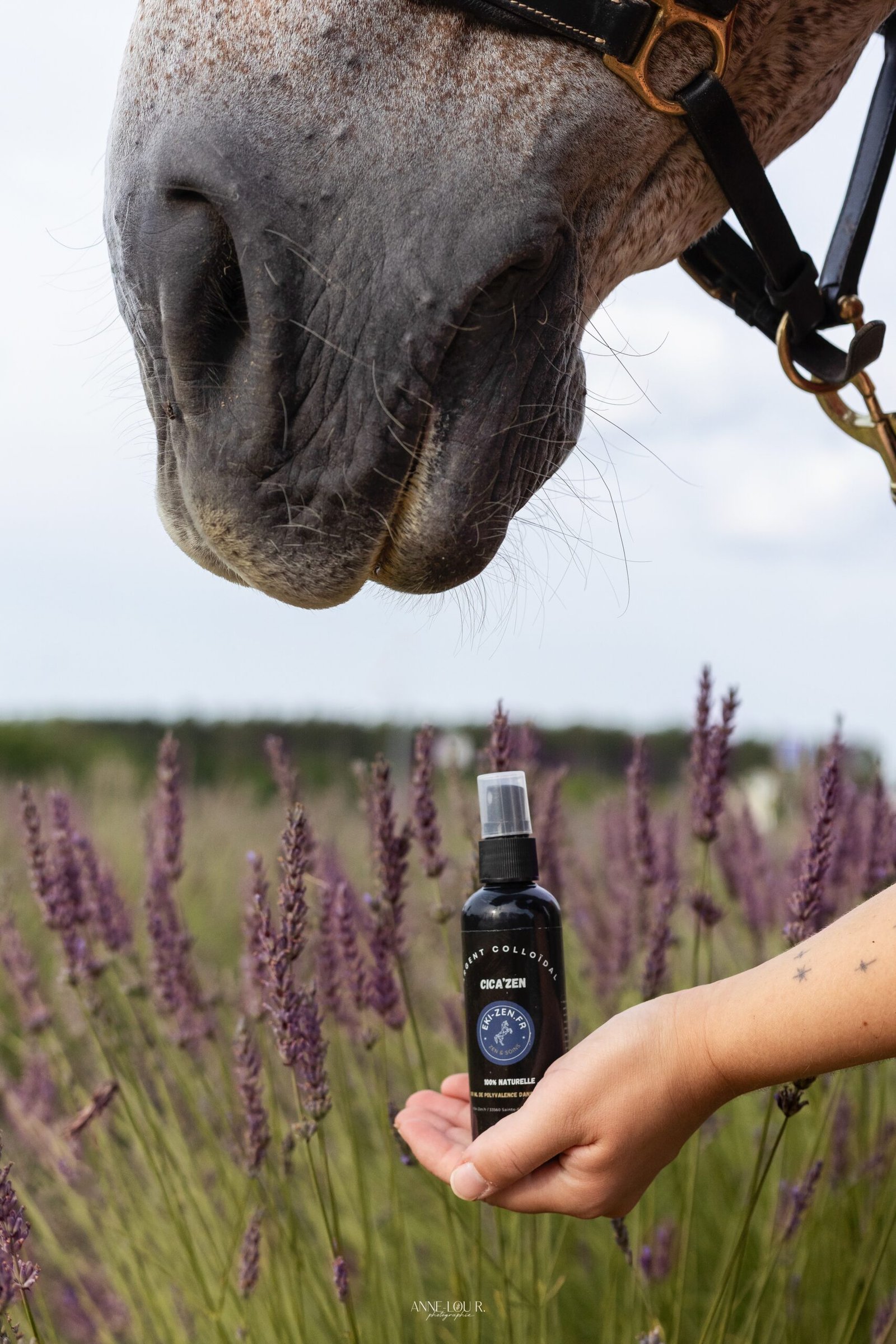 cica zen et cheval main Cicatrisant naturel pour chevaux