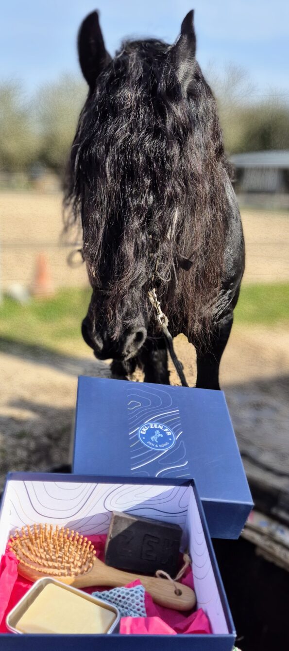 coffret beauté du crin chevaux
