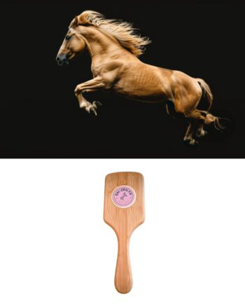 brosse en bambou EKIZEN