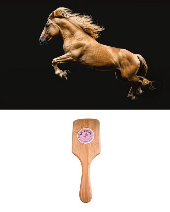 brosse en bambou EKIZEN