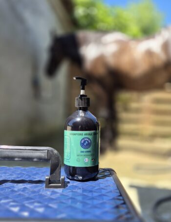 shampoing cheval à l'argile verte