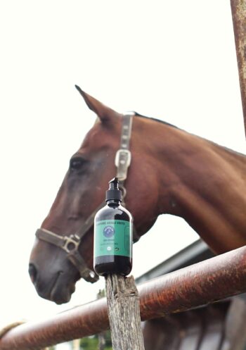 Shampoing cheval apaisant
