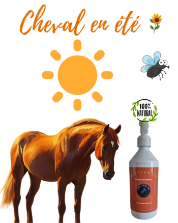 répulsifs insectes pour chevaux