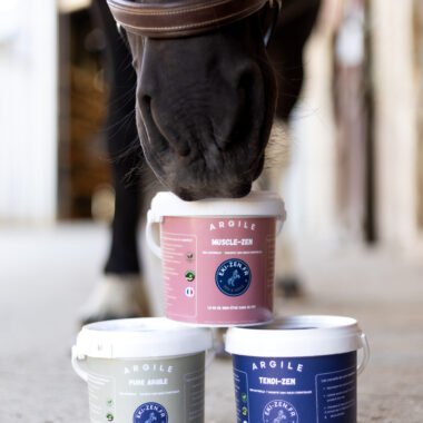 Tout savoir sur l’argile pour chevaux